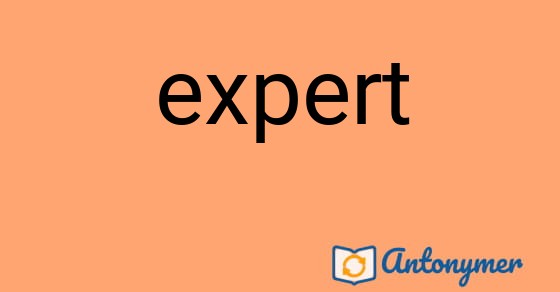 Bild som illustrerar ordet expert och dess antonymer.