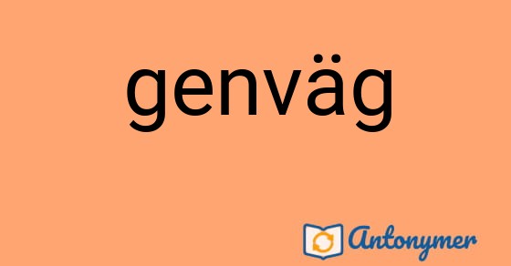 Bild som illustrerar ordet genväg och dess antonymer.