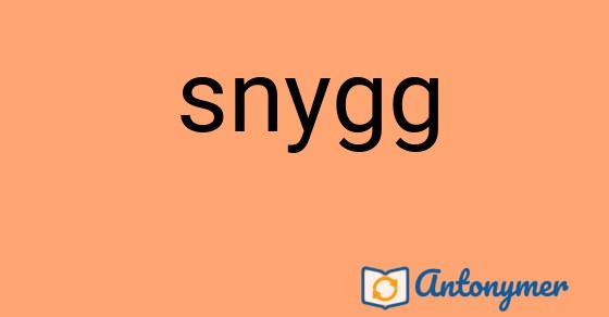Bild som illustrerar ordet snygg och dess antonymer.