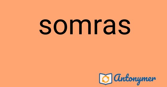 Bild som illustrerar ordet somras och dess antonymer.