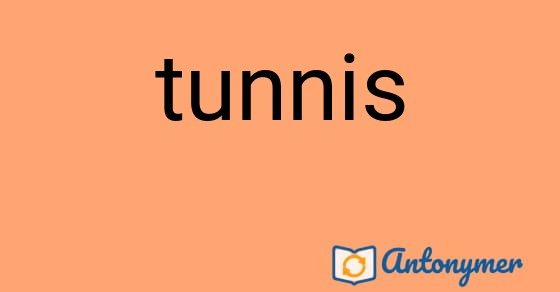 Bild som illustrerar ordet tunnis och dess antonymer.