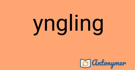 Bild som illustrerar ordet yngling och dess antonymer.